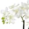 15" Phalaenopsis Arrangement in White Bowl Vase